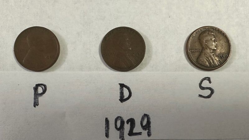 1929 P D S Lincoln Wheat Pennies- Free Shipping