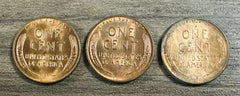 1951 PDS Lincoln Wheat Cents Gem Uncirculated with** free shipping* # 547-123