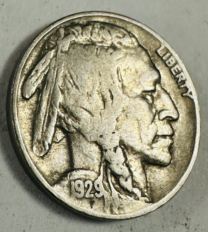1929-P 5C Buffalo Nickels W/ Full Bold Date & Almost Full Horn # BN #22